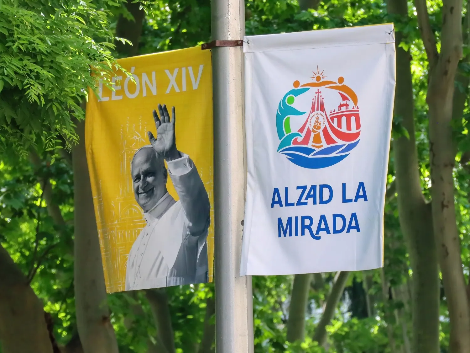 Pope Leo - Header Image